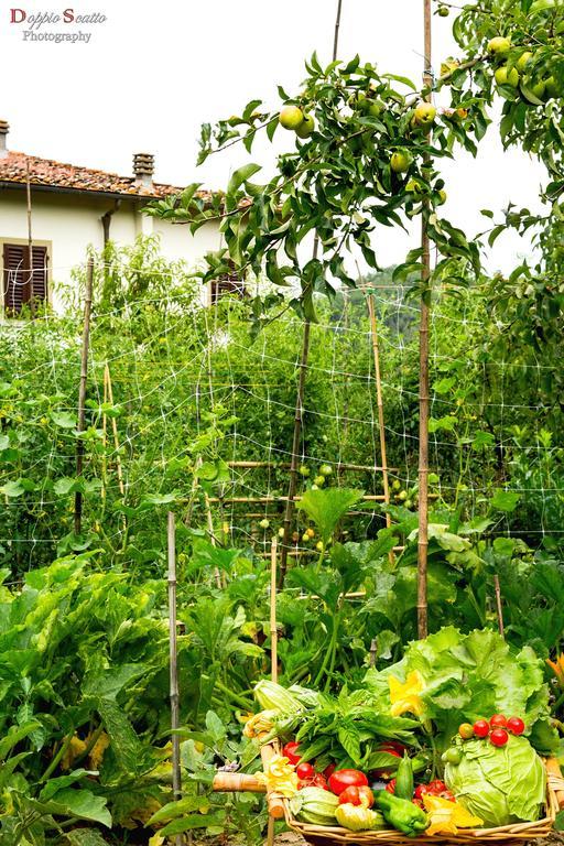 Villa Le Balze Reggello Zewnętrze zdjęcie